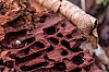 ke1c - vom original zum detail - (c) k eutebach.jpg